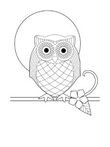 Owl coloring page