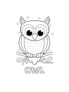 Owl coloring page