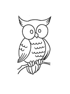 Owl coloring page