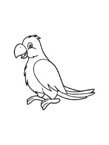 Parrot coloring page