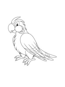 Parrot coloring page