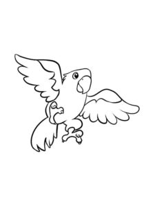 Parrot coloring page