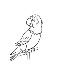 Parrot coloring page