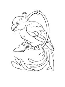 Parrot coloring page