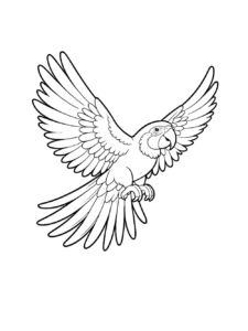 Parrot coloring page