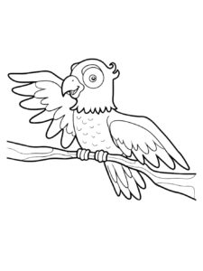 Parrot coloring page