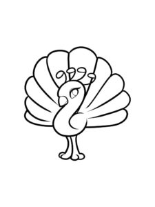 Peacock coloring page