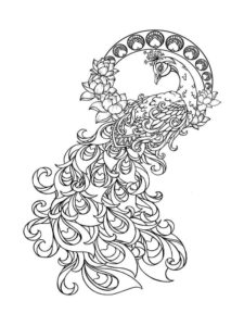 Peacock coloring page