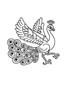 Peacock coloring page