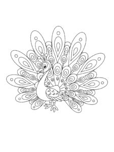 Peacock coloring page