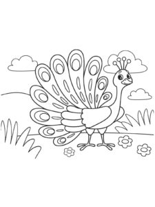 Peacock coloring page