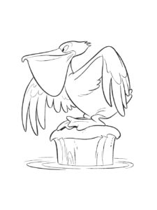 Pelican coloring page