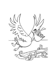 Pelican coloring page