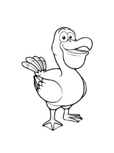 Pelican coloring page