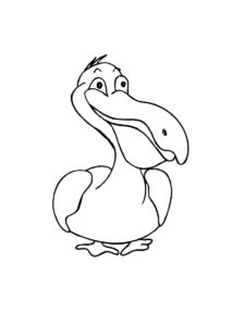 Pelican coloring page