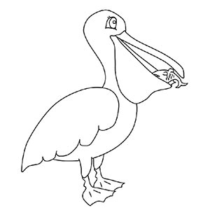 Pelican coloring pages