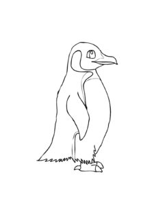 Penguin coloring page