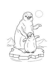 Penguin coloring page