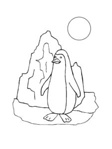 Penguin coloring page