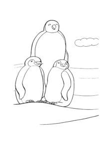 Penguin coloring page