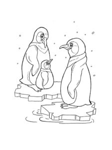 Penguin coloring page