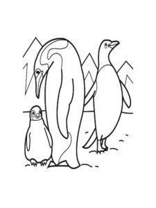 Penguin coloring page