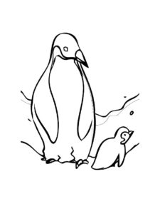 Penguin coloring page