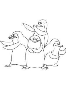 Penguin coloring page