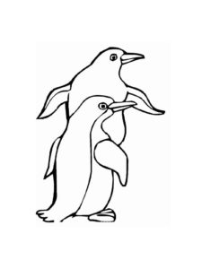 Penguin coloring page