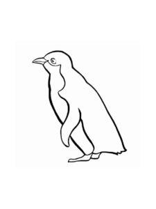 Penguin coloring page