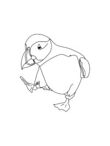 Puffin coloring page