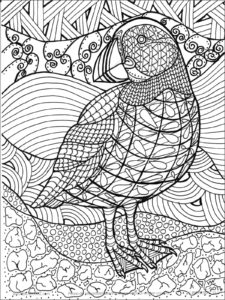 Puffin coloring page