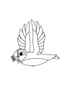 Puffin coloring page