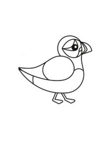 Puffin coloring page