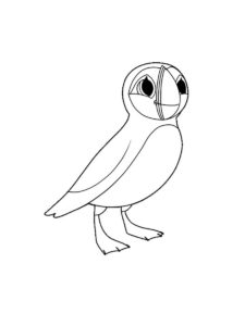 Puffin coloring page