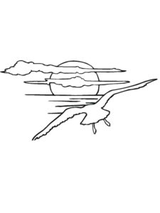 Seagull coloring page