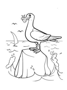 Seagull coloring page