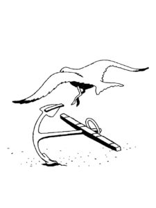 Seagull coloring page