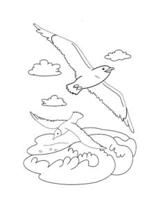 Seagull coloring page