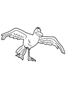 Seagull coloring page