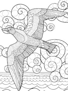 Seagull coloring page