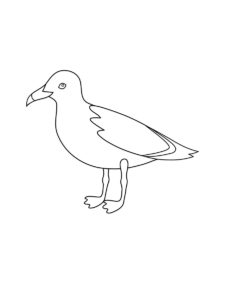 Seagull coloring page