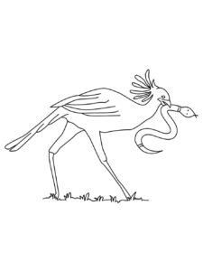 Secretary Bird coloring page