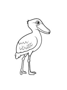 Shoebill coloring page