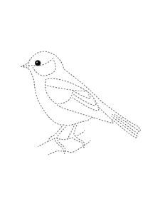 Sparrow coloring page