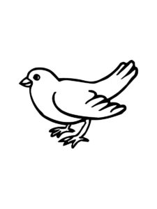 Sparrow coloring page