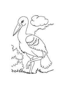 Stork coloring page