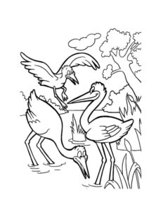 Stork coloring page