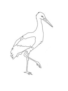 Stork coloring page