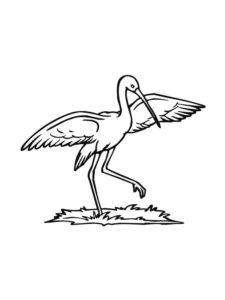 Stork coloring page